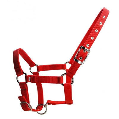 25mm Wide Thickened Pp Braid Pull Horse Halter Silver Belt