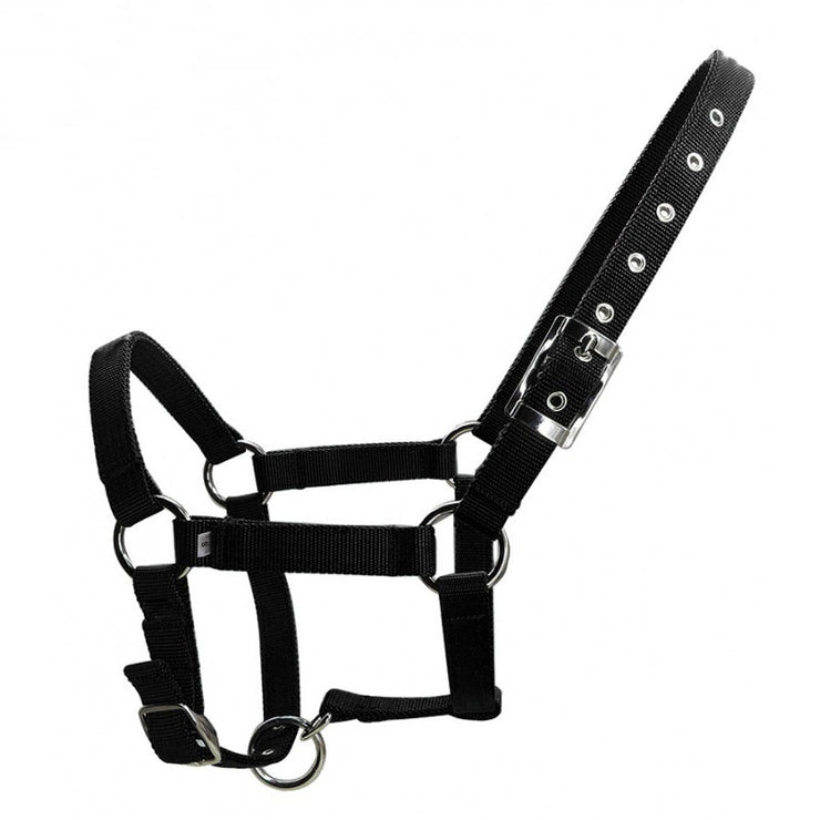 25mm Wide Thickened Pp Braid Pull Horse Halter Silver Belt