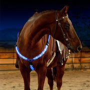 Equestrian LED light strip