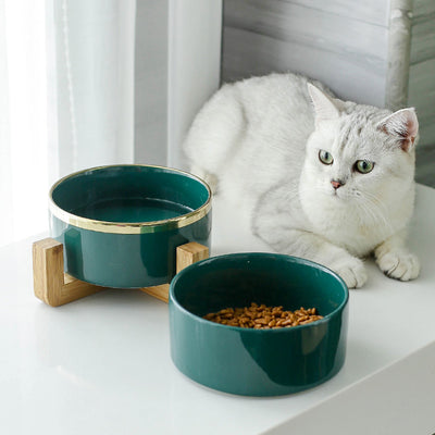 Ceramic cat bowl