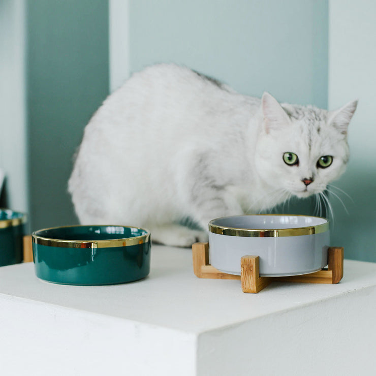Ceramic cat bowl