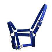25mm Wide Thickened Pp Braid Pull Horse Halter Silver Belt