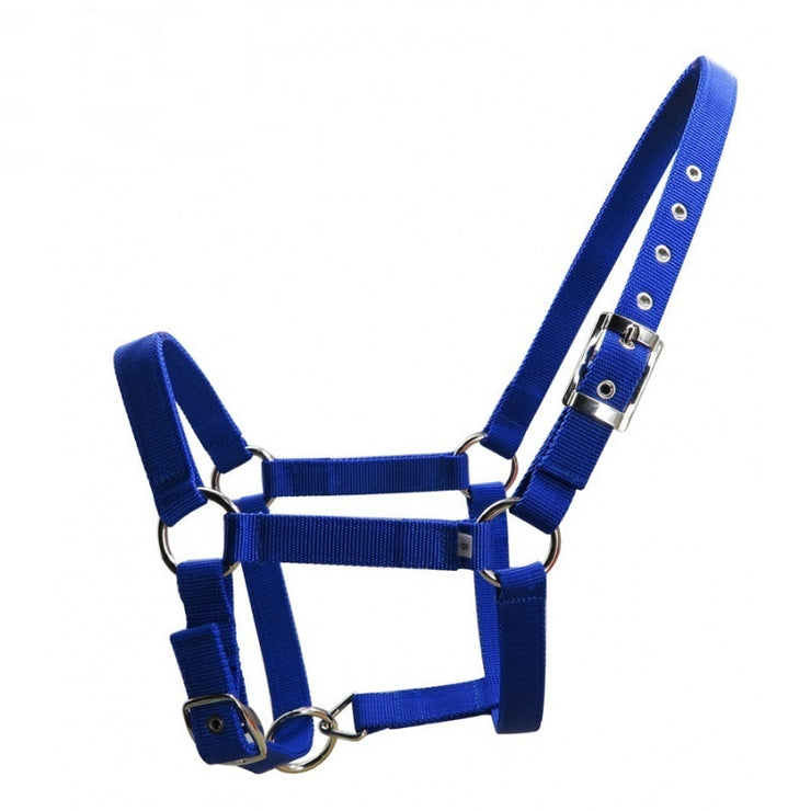 25mm Wide Thickened Pp Braid Pull Horse Halter Silver Belt