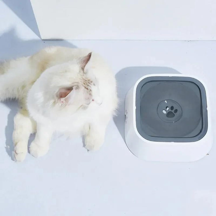 2L Floating Pet Water Bowl – No-Drip Dog Feeder