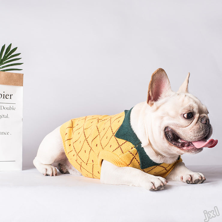 Sweater Dog Clothes