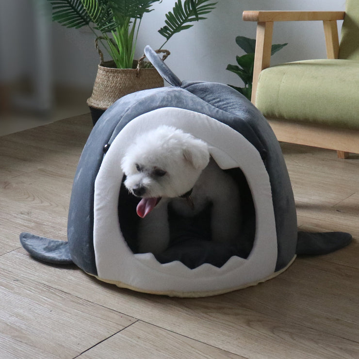Cute Shark House Cat and Dog  House