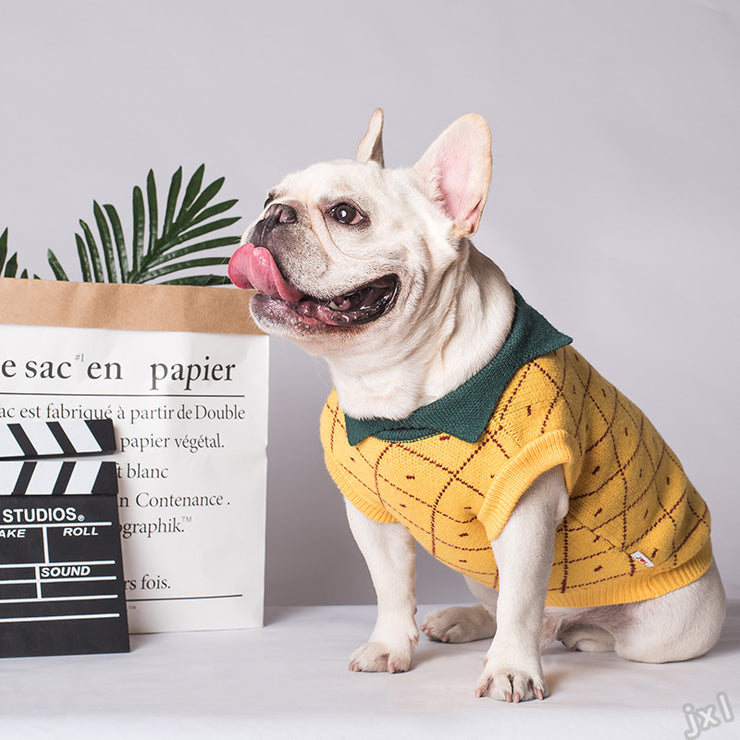 Sweater Dog Clothes