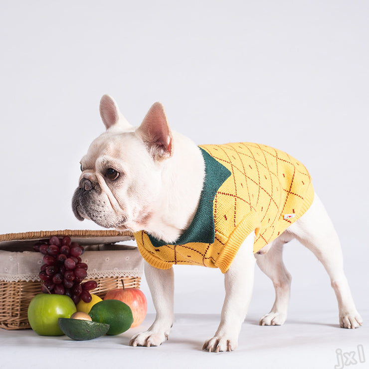 Sweater Dog Clothes