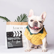 Sweater Dog Clothes
