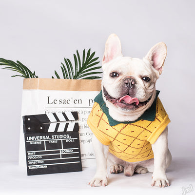 Sweater Dog Clothes